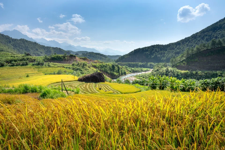 Kho gạo của Vật Tư Nông Nghiệp Mỹ Duyên